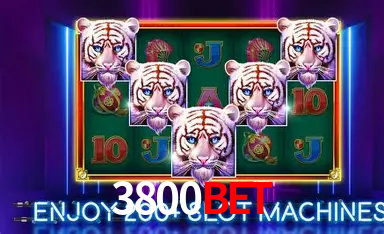 APP oficial da 3800BET para mobile